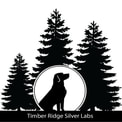 Timber Ridge Silver Labs